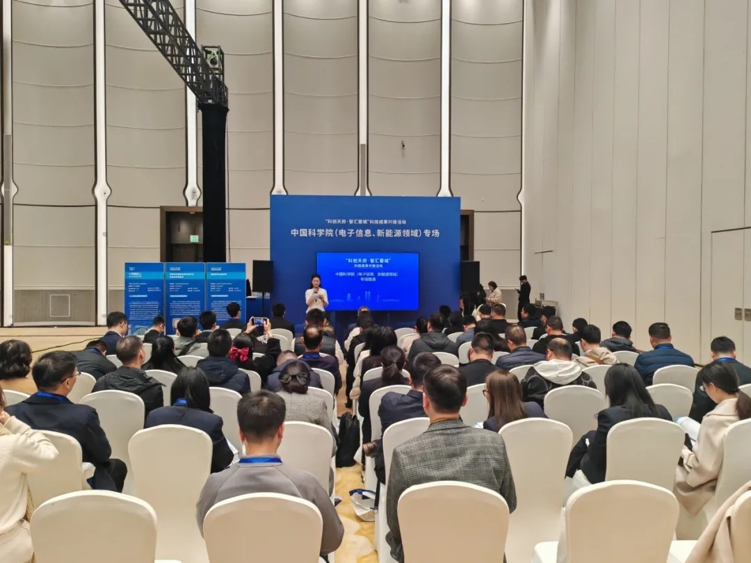 1733109072583626.jpg 002.webp.jpg